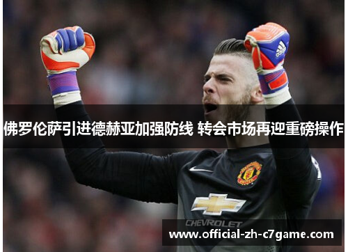 佛罗伦萨引进德赫亚加强防线 转会市场再迎重磅操作