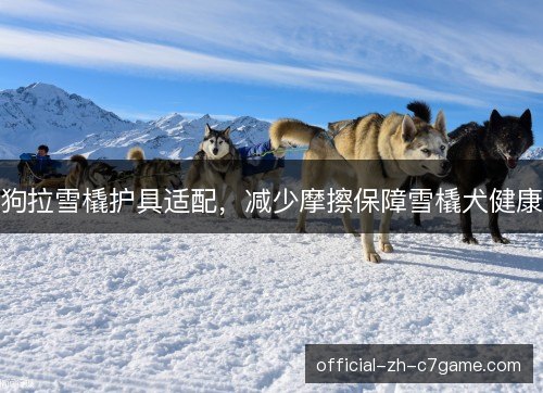 狗拉雪橇护具适配，减少摩擦保障雪橇犬健康